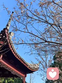 你不用逞强，也不用懂事。
在这里，你可以放心把情绪说出来。
我会安静倾听，温柔回应，
不评判、不指责、不打断。
做你专属的情绪树洞，陪你把难过慢慢抚平。配图