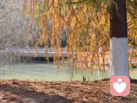 你不用逞强，也不用懂事。
在这里，你可以放心把情绪说出来。
我会安静倾听，温柔回应，
不评判、不指责、不打断。
做你专属的情绪树洞，陪你把难过慢慢抚平。配图