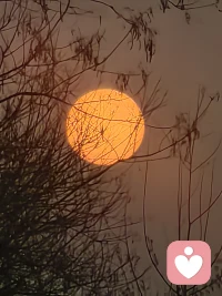 应无所住而生其心配图