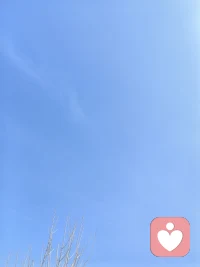 决定我们成为什么样人的，不是我们的能力，而是我们的选择。——J.K. 罗琳《哈利・波特》配图