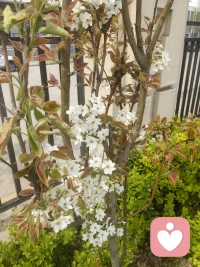 分享:踏光而行，步履不停🍂 不要等完美的一天，要让每一天都变得完美。🌈