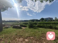 五一小长假已经结束，今天开始正常接单，欢迎大家来访。
