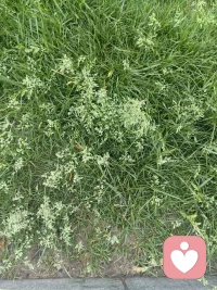 遵从内心热爱，便是最好的方向。不被外界裹挟，不被功利牵引，在热爱里扎根生长，自会遇见清澈、笃定与丰盈的自己。配图