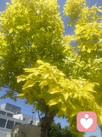 遵从内心热爱，便是最好的方向。不被外界裹挟，不被功利牵引，在热爱里扎根生长，自会遇见清澈、笃定与丰盈的自己。配图