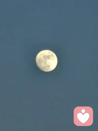 每个人天生都有依靠自身感受判断事物的机体评价过程，也始终渴望无条件的积极关注。