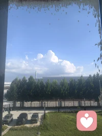 不必强求成为山顶高松，做溪边最好的小树亦有光芒。不必人人都做船长，做好手边之事，做独一无二、最好的自己，便是生命最好的模样。