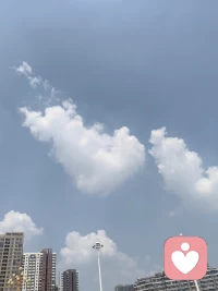 内心真正笃定奔赴远方，不是狂热激动，而是一份安稳的确信，凭此便可果断抉择、耐心迎对前路风雨。
