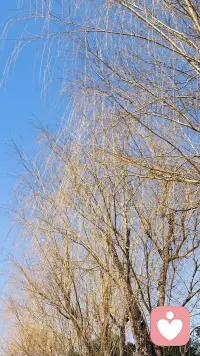 卸下标签，
重写人生，
用温柔的方式，
和自己和解