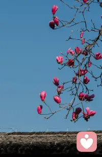 真诚表达自己的感受
和
攻击对方
不是一回事

举个例子：
孩子说“你不是一个称职的妈妈”
妈妈可能会感觉不舒服
真诚的表达是
“听到你这么说，我感受到不舒服”
攻击对方是
“我觉得你这么说，真是没良心”

表达自己在说自己
带着情绪说对方，怎么说都是攻击。

​