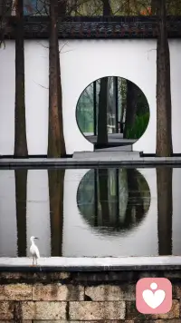 一个观点触动了多人的心弦，
即人们渴望得到偏爱，
而共情是实现这一渴望的关键。

共情不同于简单理解事实，
而是站在对方的情绪角度，
为他人提供情感上的支持。
心理学研究指出，
大脑在共情过程中既需要分析信息（由前额叶皮层负责），
也需要感受他人的情绪（镜像神经元系统作用）。

真正的共情，
意味着在他人遭遇挫折时，
不急于分析问题，
而是先表示理解和给予支持，
从而帮助对方重拾理性。

共情不仅是理解人性和自我，
获得他人偏爱的途径，
也是给予他人偏爱的基础，
它体现了一个人高超的自我边界感和深刻的人性洞察力。

最终，共情能力被视作一种温柔的、
既能深刻理解人性又以温柔相待的高级能力。配图