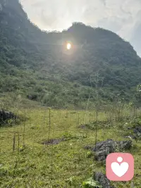 把自己活成一束光，因为你不知道谁会借着你的光走出黑暗🙂配图