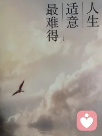 人生适意最难得。认识人生，认识自己，从而做自己所能做的事，享受自己所能享受的生活！