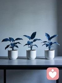 边界感，是成年人最顶级的修养，也是保护自己最有效的方式。
        很多关系之所以让人疲惫，是因为你总在委屈自己迎合别人，总在无底线退让，以为善良和包容就能换来珍惜。
        可事实上，没有底线的温柔，只会被当成软弱；没有原则的体谅，只会被不断忽视。
        你要明白，好的关系从不是一味付出，而是相互尊重、彼此体谅。配图