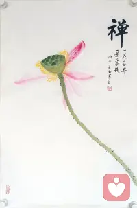 遇见美好 遇见你