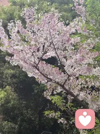 何处不风景，随处是心情，
入眼的是风景，入心的是人生