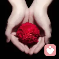 世界是自己的，看自修.配得感已经站在原以为的低洼。既然拥有那就无关乎配得感，走在成熟的路上，瓜熟蒂落都有终点，值得过程上好好去珍惜享有……你若快乐将处处美好配图