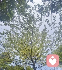 每个人的来时路，
都藏着无人知晓的辛苦，
有深夜的迷茫，有清晨的奔赴，
有跌倒后爬起的倔强，
有忍住不说的委屈与孤独。
 
那些以为跨不过的坎，
最后都成了脚下的坦途；
那些悄悄咽下的苦，
慢慢酿成了眼底的从容与温度。
 
原来走过的每一步都不算辜负，
风雨是经历，遗憾是领悟，
时光不语，却回答所有问题，
岁月无声，终会护你安稳如初。