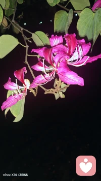 情绪不好别憋着，
专业倾听，安心陪伴。
首单诚意满满，
说出来，你会轻松一大半。