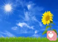 保持清净心
就像你每天给花换水一样
不停净化我们的身心
去掉变质的，不好的杂念就可以了