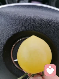 当你把日子当成最后一天，你会觉得世界其实真的很美好