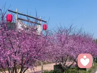 总有各种潮湿，那就晒晒太阳。