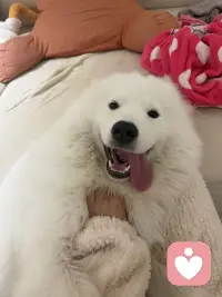 艰难的生活  修勾治愈你