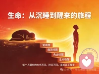 我擅长温柔陪伴、情绪疏导、耐心倾听，
不评判、不打断、不说教，
只给你一个安全、放松、可以放心做自己的空间。
 
如果你累了、撑不住了、想找人说说话，
我在这里，安静等你。