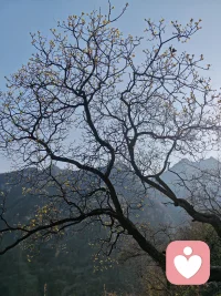 很喜欢的一句话：“陪伴胜过所有承诺，就让时间来证明，我们的爱不是一时兴起，你若不离不弃，我必奉陪到底，我会一直留在你身边。”配图