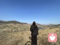 不用讨好。 不用克制。 在这里你可以卸下所有防备配图