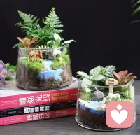 温柔有尺，退让有度，善良有棱角。