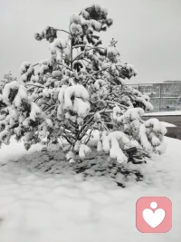 承受力是相对的，
越壮越遇到更多的压力，
撑住就需要更久的耐性。配图