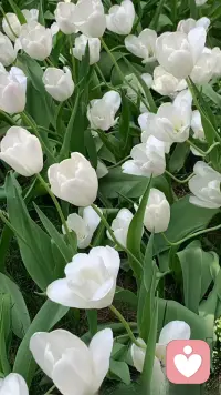 爱得太满，最后伤的是自己。

不是爱错了人，是你把完整的自己，全都掏空给了对方。
 
你越迁就、越包容、越毫无保留，
就越容易被忽略、被透支、被当成理所当然。
 
心理赋能，不是让你不爱，
而是帮你收回重心、守住边界、停止自我消耗。
 
让你懂得：
爱可以真诚，但不能卑微；
情可以用心，但不能丢了自己。
 
爱七分，留三分给自己。
先自爱，再爱人。配图