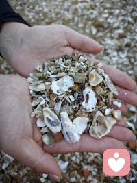  真正的成长，不是变得坚硬，而是学会温柔地与世界相处，与自己和解。配图