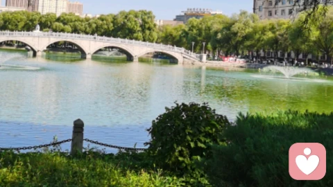 爱到最后，都是在“治自己”