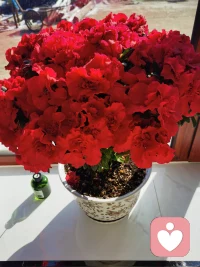 很多关系走到最后，也不过是相识一场。不必强求，不必纠缠，放过别人，也是放过自己。人生本就是不断告别、不断遇见的过程，愿你此后，眼里有光，心中有爱，活得坦荡又自在。配图