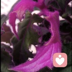 情感驿站的头像