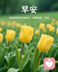 我放下

我放下对眼前现状的评判

我放下对当下进度的控制

我放下我以为的更好的情境

我放下我的着急 

我放下我的不满

我放下要加快事情进展的执念

我看见我经历着的一切

包括所有的痛苦与挣扎

我只是经历着，尊重自然的规律

把事情进展还给自然

我把我的能量收回来

回到我自己的生命里

回到我此刻的呼吸

让我与自己，再次联结配图