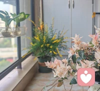 不要学他人的样子
要问自己为什么心动

​在他人身上看到自己的功课是什么，
然后在自己身上去做练习。配图