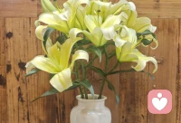 情绪多来自于我们的欲望多配图