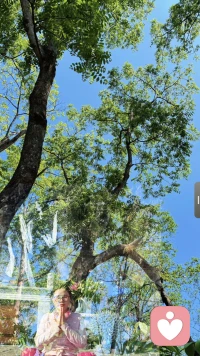 深刻认知空性，就明白幸福的婚姻，不需要夫妻同修

​这个世界（我们遇见的一切人事物）就是一个大大的屏幕，如果屏幕不是我们喜欢的画面，绝对不是屏幕的问题，屏幕是空白的，赶紧换底片，底片就是我们的念头
​
​所以人改变很快，一念之间，
一念天堂，一念地狱
​一念痛苦，一念喜悦
​一念愤恨，一念慈悲
​一念抱怨，一念感恩
​信愿行证………配图