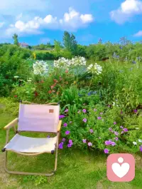 世界很吵，我在这里听你说