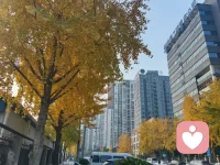 如果你觉得感觉生活压力太大了不防给自己放一个假出去走走看看不同的风景静静地待会儿深呼吸一下在大大口喘气一下或许会轻松很多噢配图