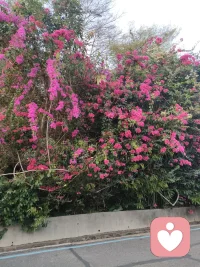 如果你感到压力山大，心情烦躁，或者遇到了一些难以解决的问题，这里有你需要的倾听者，他们专业、贴心，能给你提供情感上的支持，心理上的指导。
你的心灵驿站，随时欢迎你的到来。