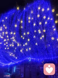 永远不要和别人比生活
       萝卜青菜各有所爱
     追求不同，活法不同
   开心就笑，累了就休息
生活图的就是简单和快乐