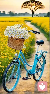 你温柔对待世界的模样，就是世界终将回馈你的模样。