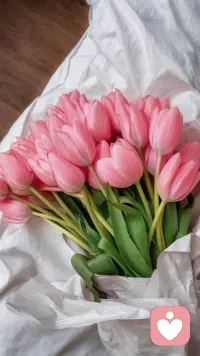 人生路上，遇见善良，学会付出；遇见微笑，学会分享；遇见坎坷，学会勇敢。人生路艰难，但是如果你有笑对人生的能力，你就有享受人生的能力。心是苦的，人生便如苦海无边；心是甜的，人生处处都是曼妙风景。