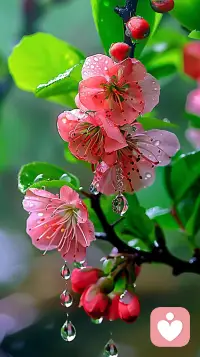 没有哪一种生活、哪一种年龄不会遭遇辛苦，我们的奋斗和努力，不是为了挣脱，而是为了可以拥有更多选择的资格。努力，赋予了我们改变的可能，又在每一次的选择过后，让我们变得更加优秀。配图