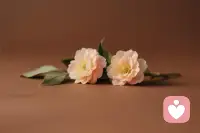 生活或许偶尔有风霜，但你的心田里，请永远为自己留一朵待放的花。配图