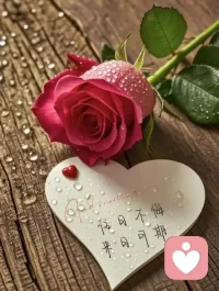 别急着否定自己，你只是还在路上。慢慢来，会越来越好，也会越来越接近想要的生活。配图