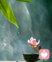 并不是随着年纪的成长，每一个人都会变得更加成熟的，有的人就算是见得多，也不一定懂得多。凡事靠自己，也要相信自己。配图